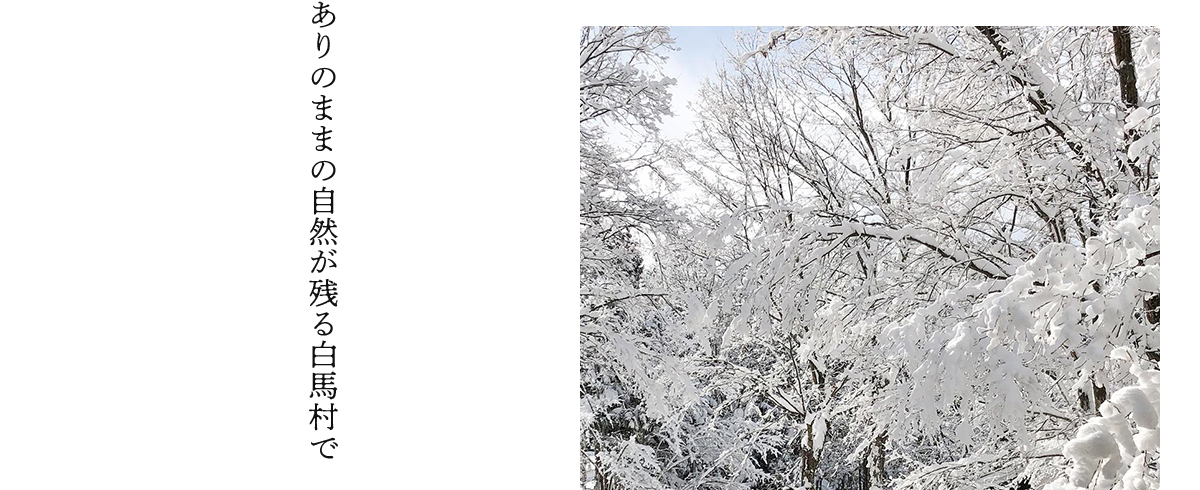 ありのままの自然が残る白馬村で