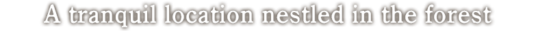 A tranquil location nestled in the forest.