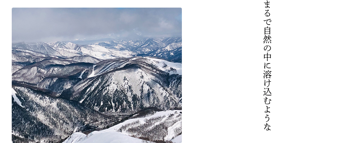 色鮮やかな樹々に息吹を感じ