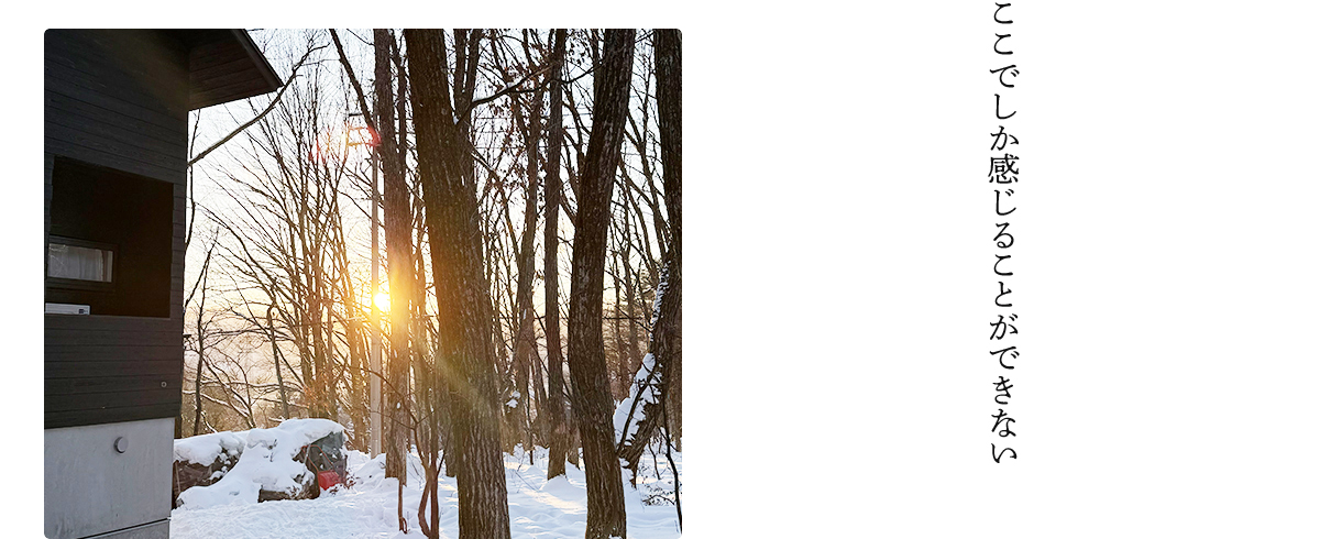 まるで自然の中に溶け込むような