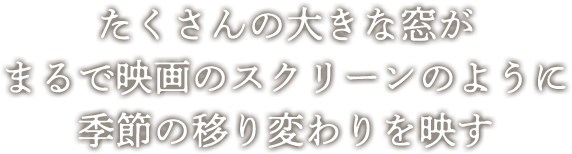 たくさんの大きな窓がまるで映画のスクリーンのように季節の移り変わりを映す