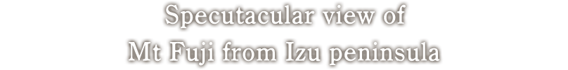 Spectacular view of Mt Fuji from Izu peninsula